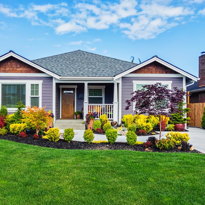 landscaping outside house