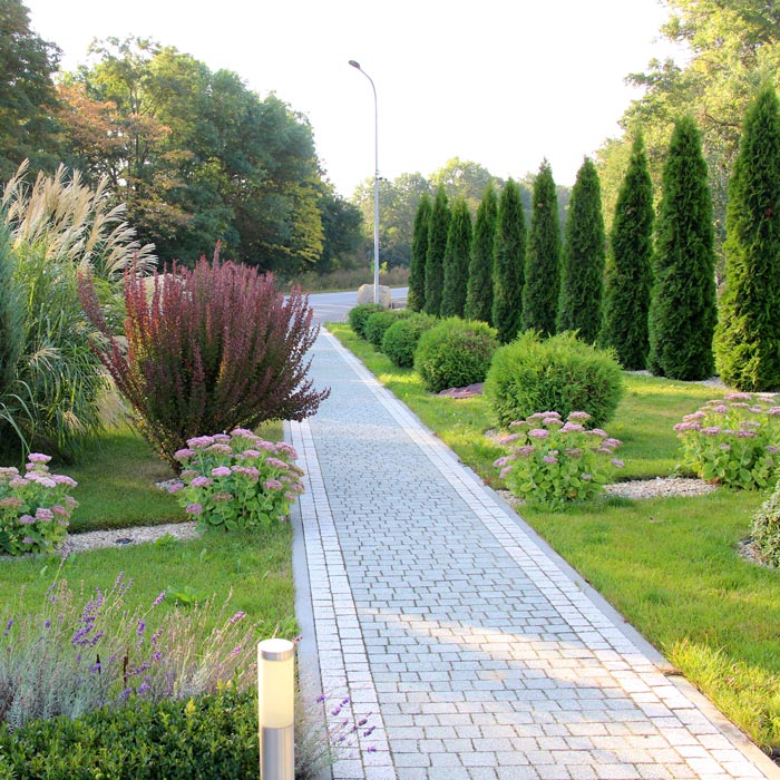 brick paver path through well landscaped area